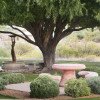 campus of Spring Ridge Academy with fountain under tree