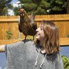student with a rooster on her shoulder